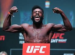 Aljamain Sterling - UFC